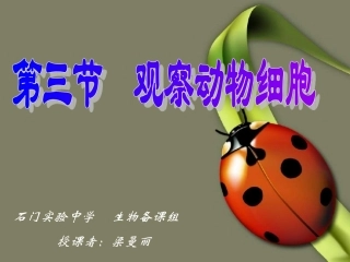 第二单元第一章第三节《观察动物细胞》课件