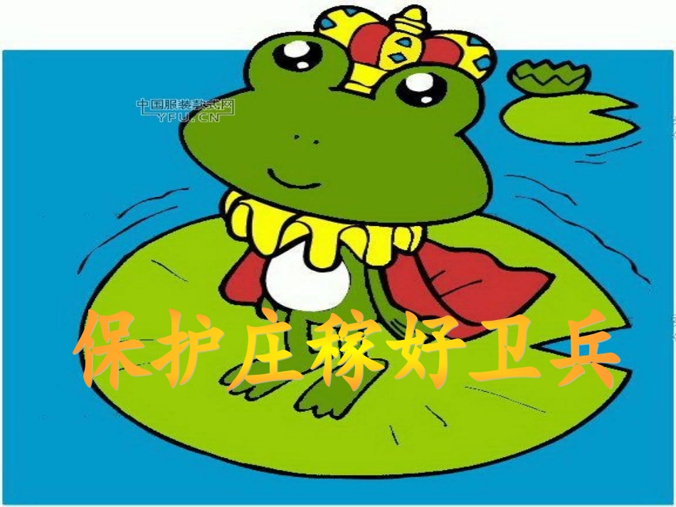 保护庄稼好卫兵_第3页