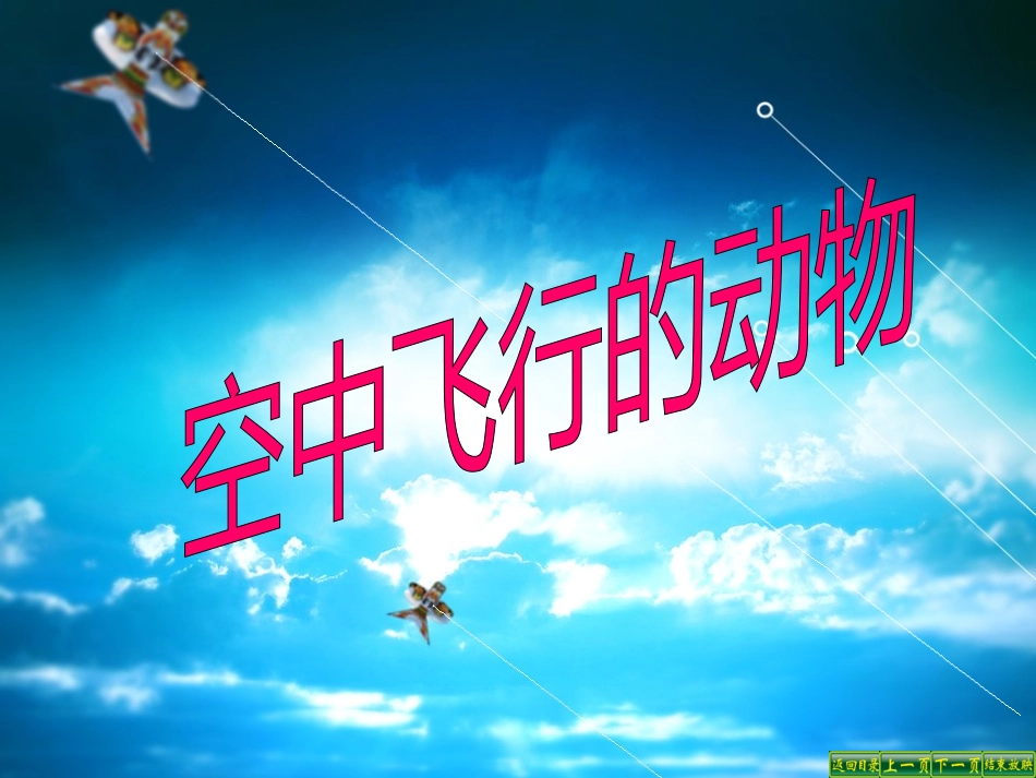 513空中飞行的动物-昆虫_第1页