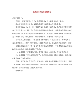 竞选正中队长发言稿范文 