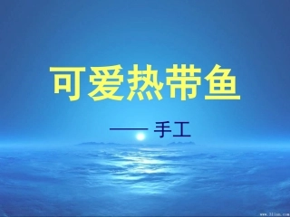 19可爱热带鱼