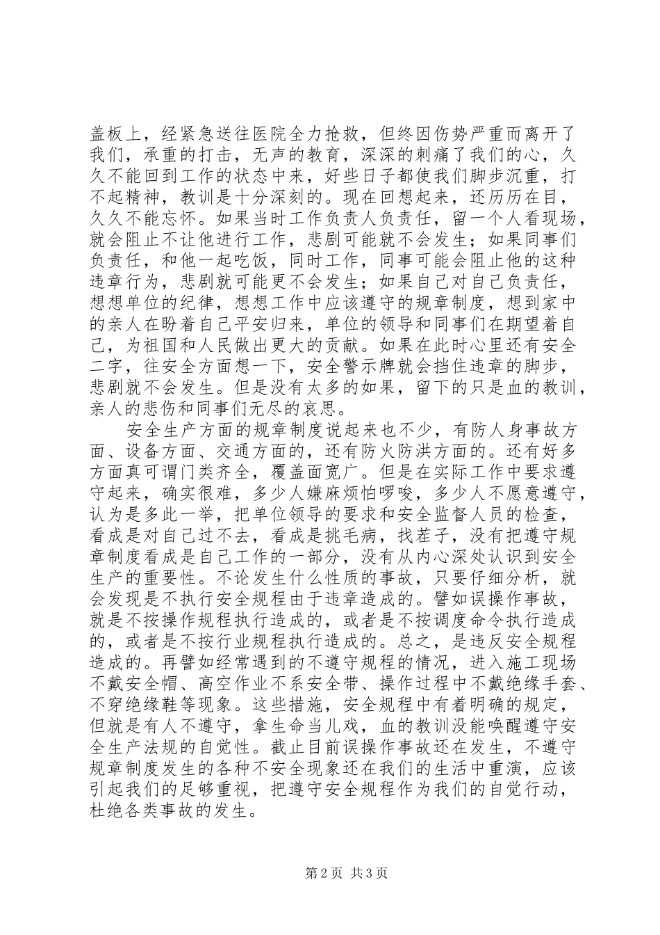 倡导电力行业的安全生产演讲_第2页