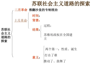 九年级世界历史下册复习题[1]