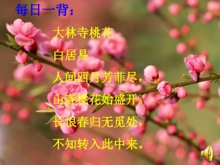 夹竹桃（课件）