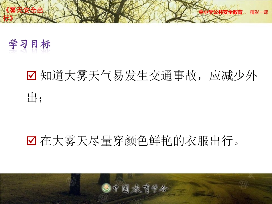 雾天安全出行_第2页