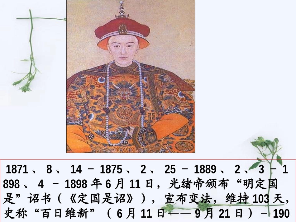 专题九戊戌变法_第2页