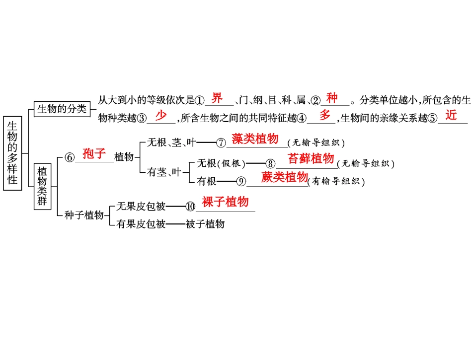 中考生物学专题知识整合·专题八生物的多样性_第2页