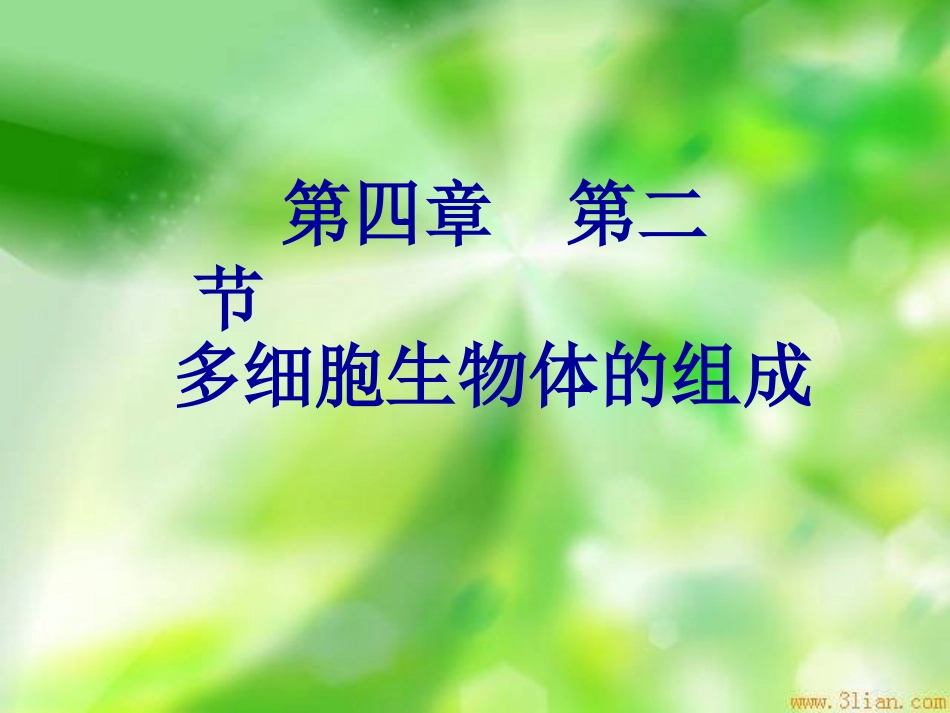 42多细胞生物体的组成_第2页