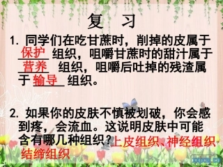 42多细胞生物体的组成