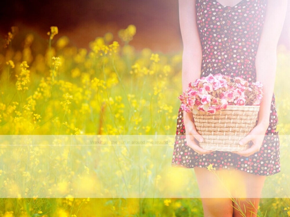 油菜花唯美风景PPT模板_第2页