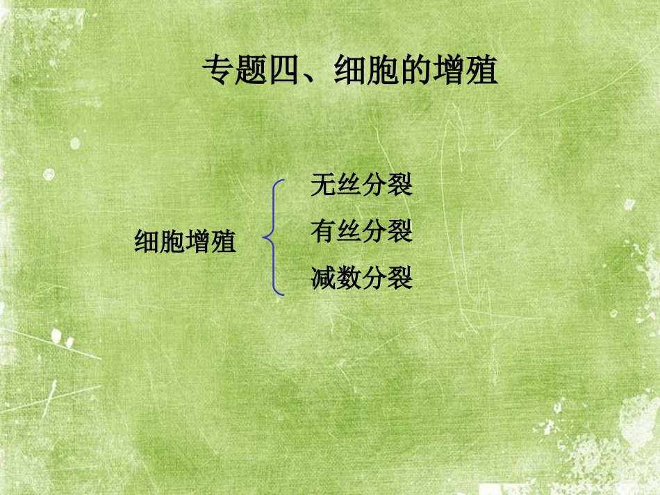 细胞增殖课件_第1页