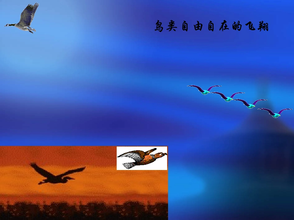 第五章第二节细胞的能量通货---ATP_第3页