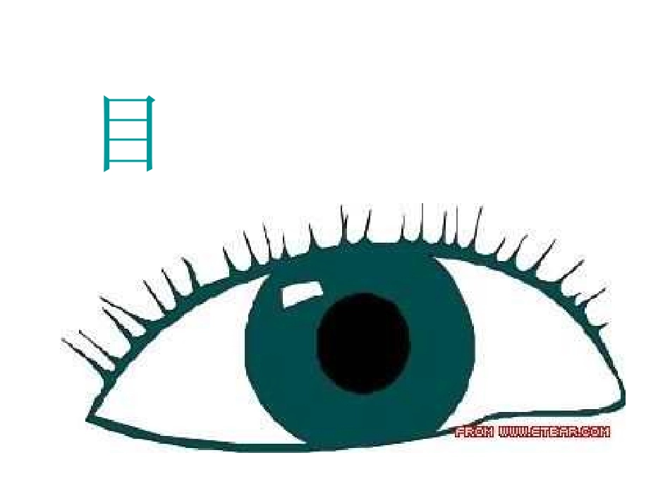 第二版块〈汉字家园四〉 (2)_第2页