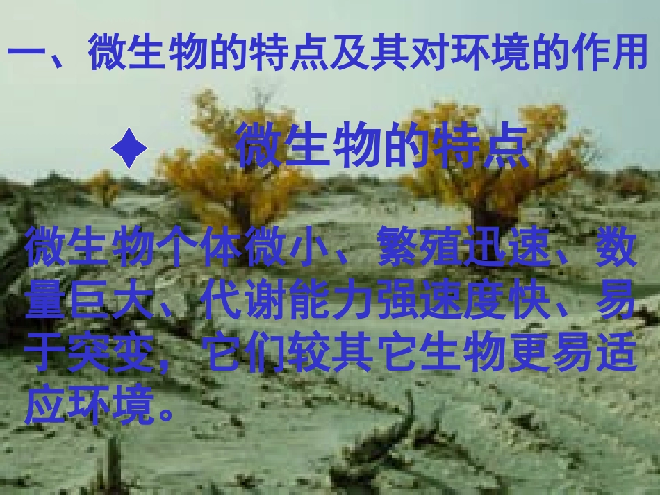 微生物是治理环境的能手_第3页