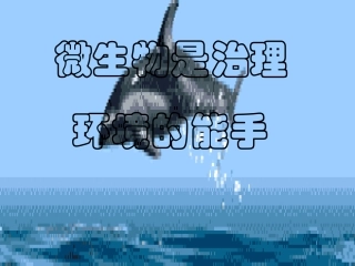 微生物是治理环境的能手
