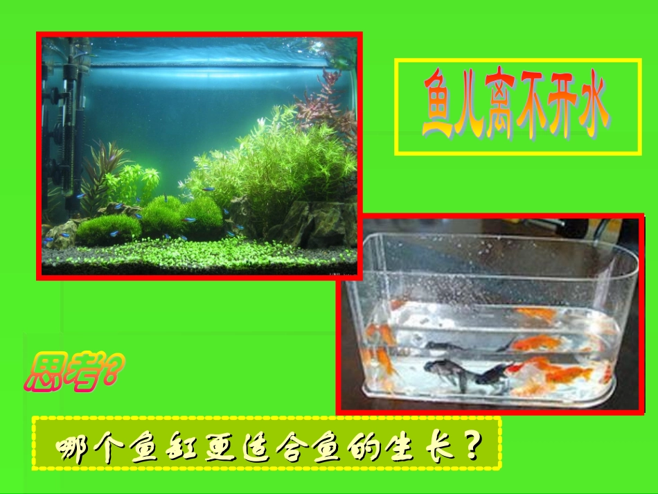 第一节_生物与环境的关系_第3页