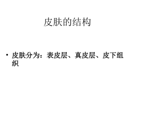 皮肤的生理分析
