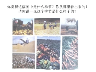 种子藏在哪里？