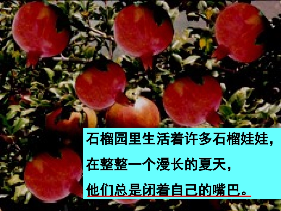 石榴娃娃笑了2_第3页