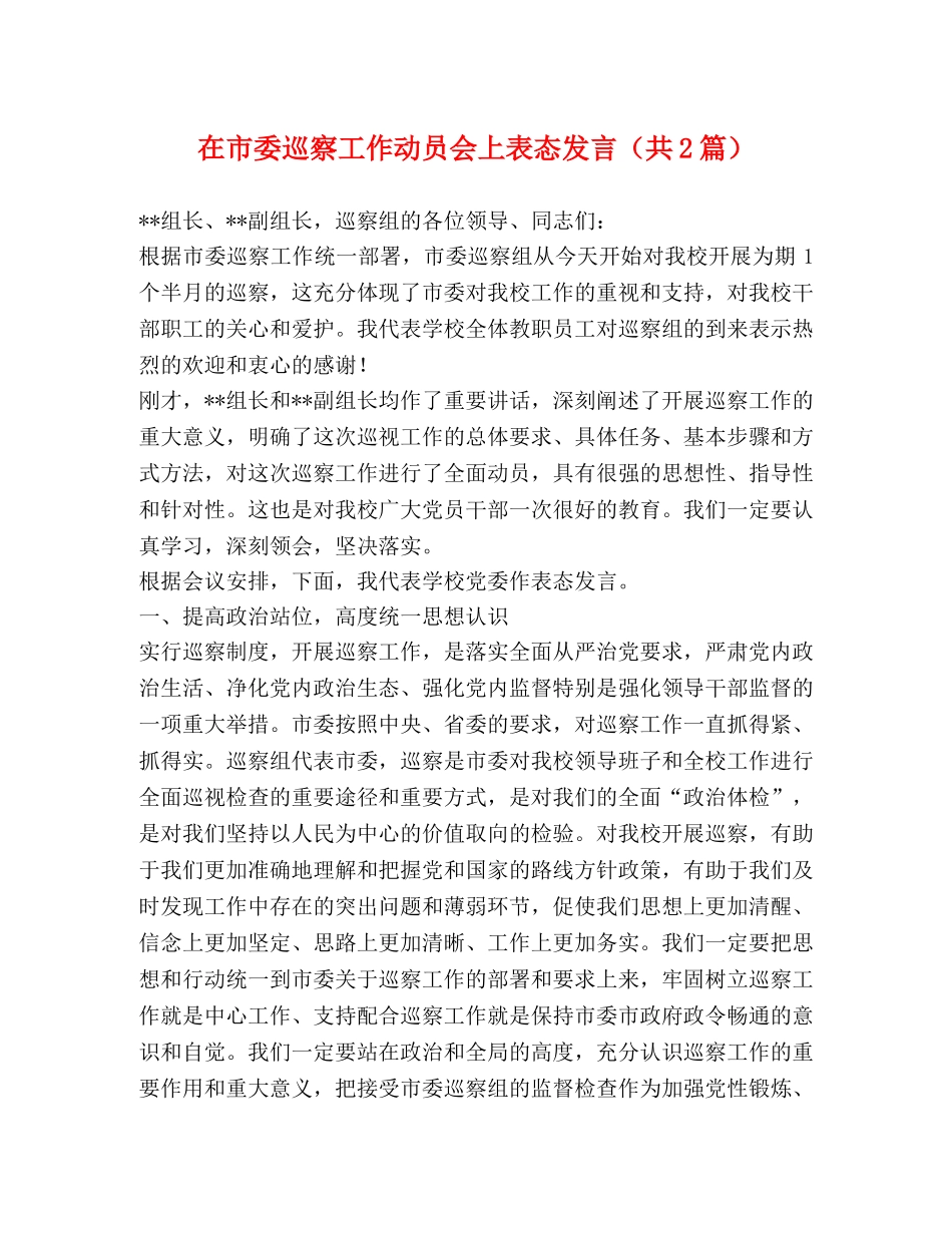 在市委巡察工作动员会上表态发言（共2篇） _第1页