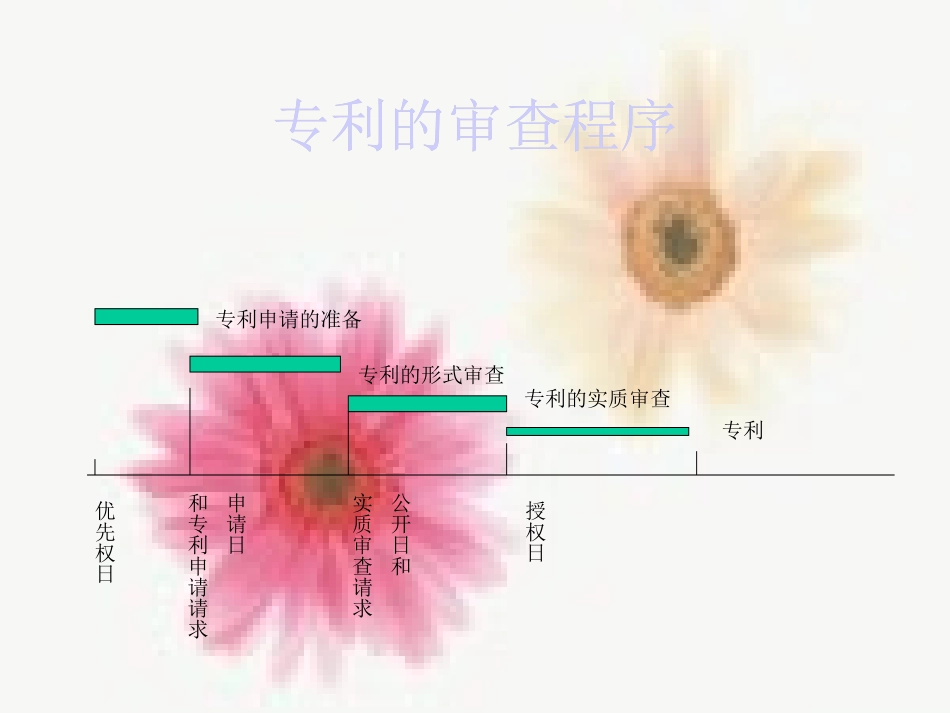 药物发明专利的审查_第2页
