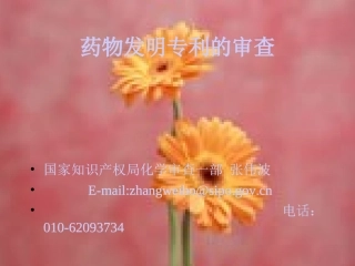 药物发明专利的审查