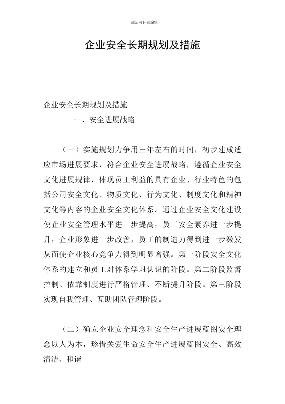 企业安全长期规划及措施_第1页