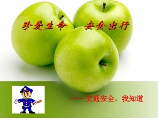 交通安全说课课件