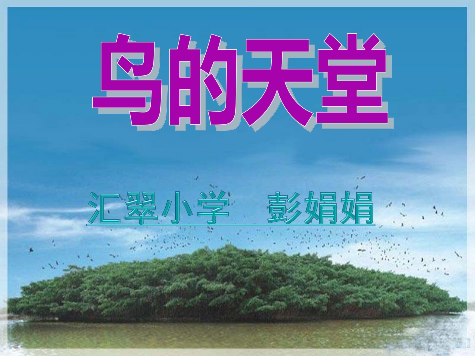 彭娟娟鸟的天堂_第1页