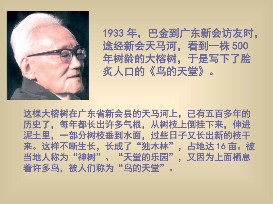 彭娟娟鸟的天堂_第2页