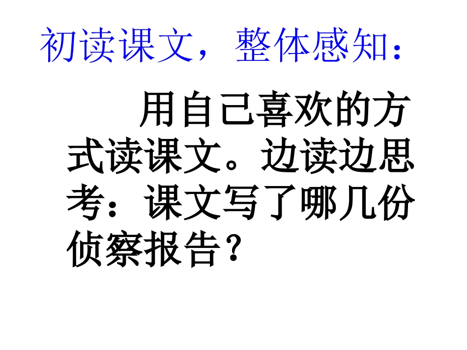 鸟儿的侦查报告讲课_第2页
