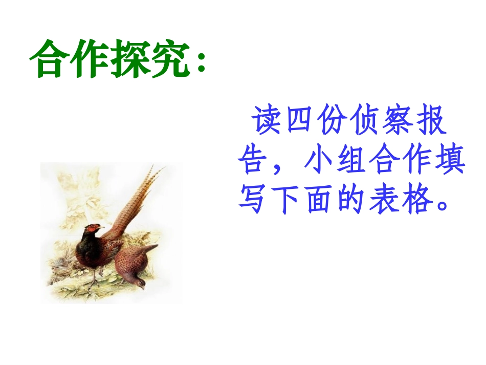 鸟儿的侦查报告讲课_第3页