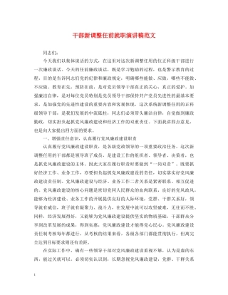 干部新调整任前就职演讲稿范文 