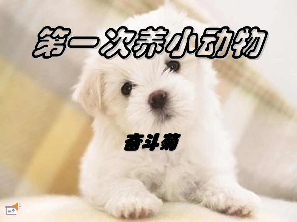 第一次养小动物6_第1页