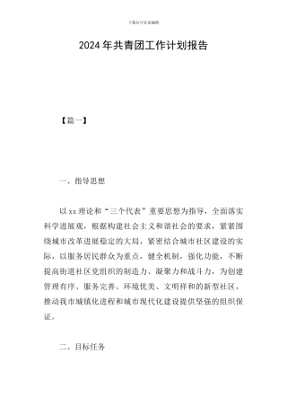 2024年共青团工作计划报告