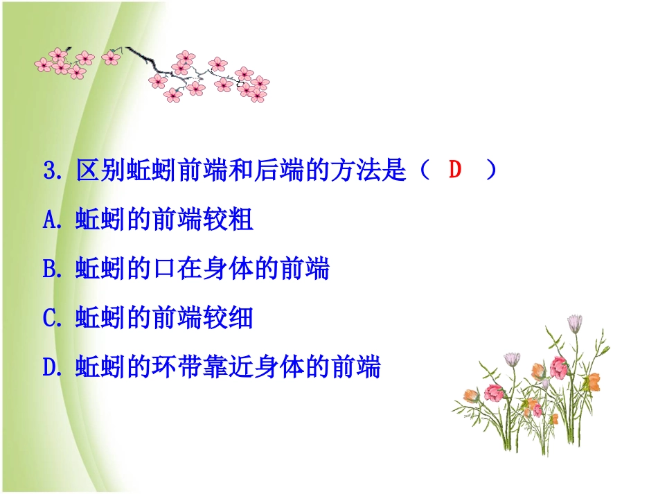 第三节软体动物和节肢动物_第3页