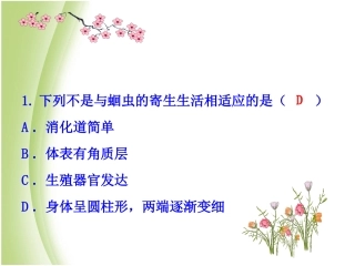 第三节软体动物和节肢动物