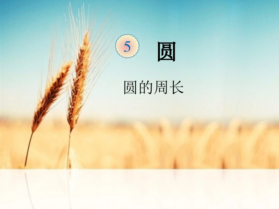 圆的周长 (2)_第1页