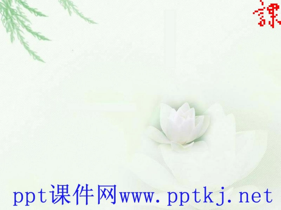 通分[www.pptkj.net]_第2页