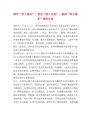 树牢“四个意识”，坚定“四个自信”，做到“两个维护”组织生活 