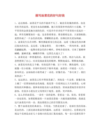 描写油菜花的好句好段 