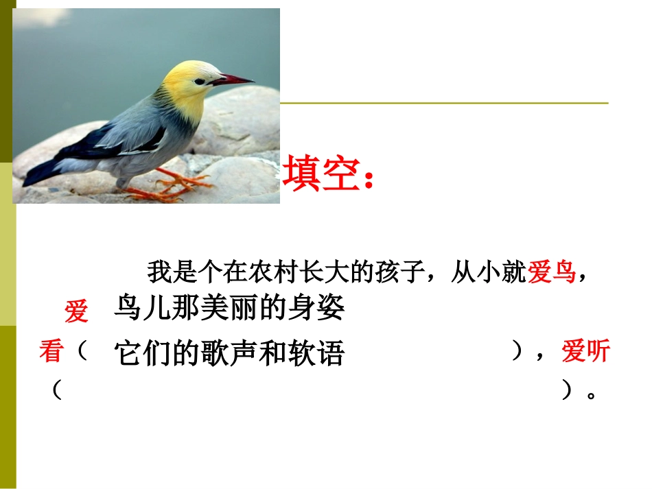 《鸟语》课件2_第3页