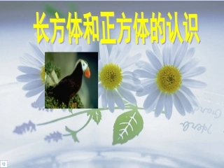 长方体和正方体的认识 (4)