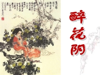 《醉花阴》2