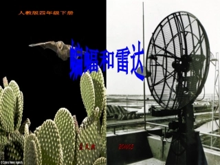 《蝙蝠和雷达》