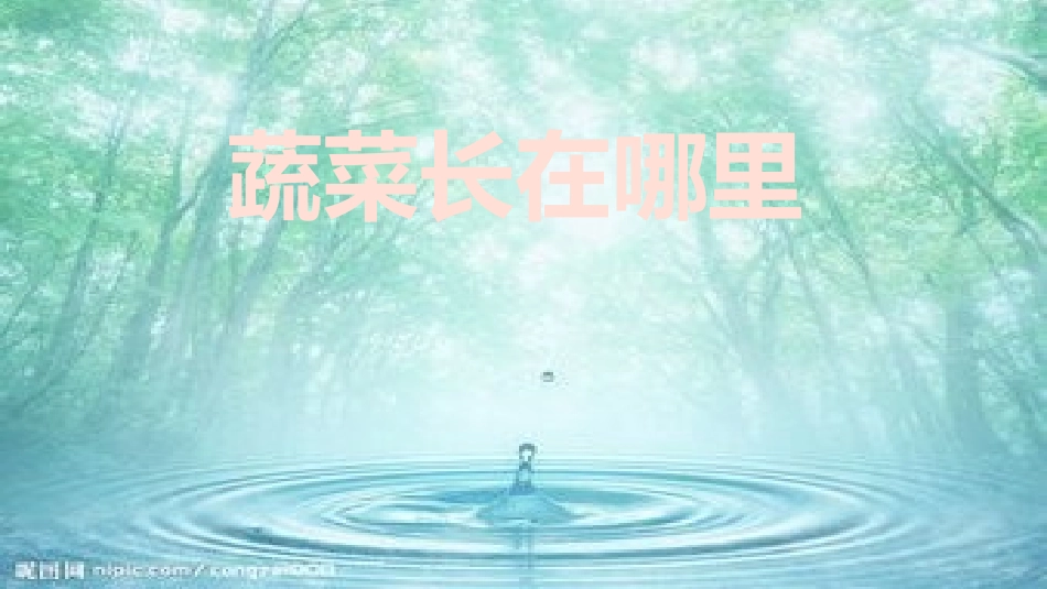 7蔬菜长在哪里_第1页