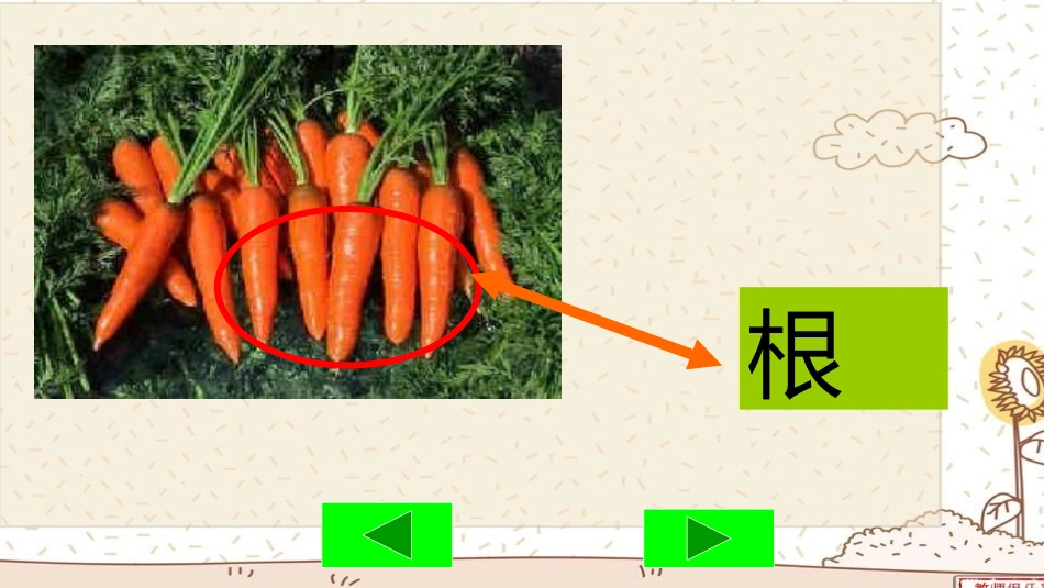7蔬菜长在哪里_第3页