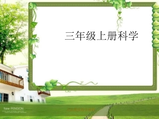 蚂蚁课件 (2)