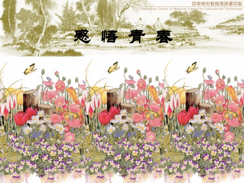 感悟青春课件_第1页