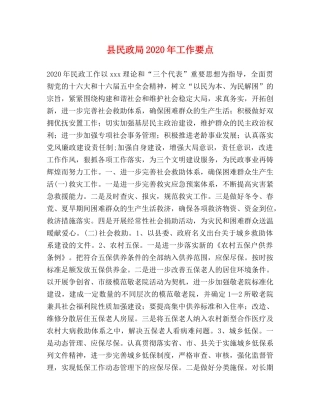 县民政局2024年工作要点 